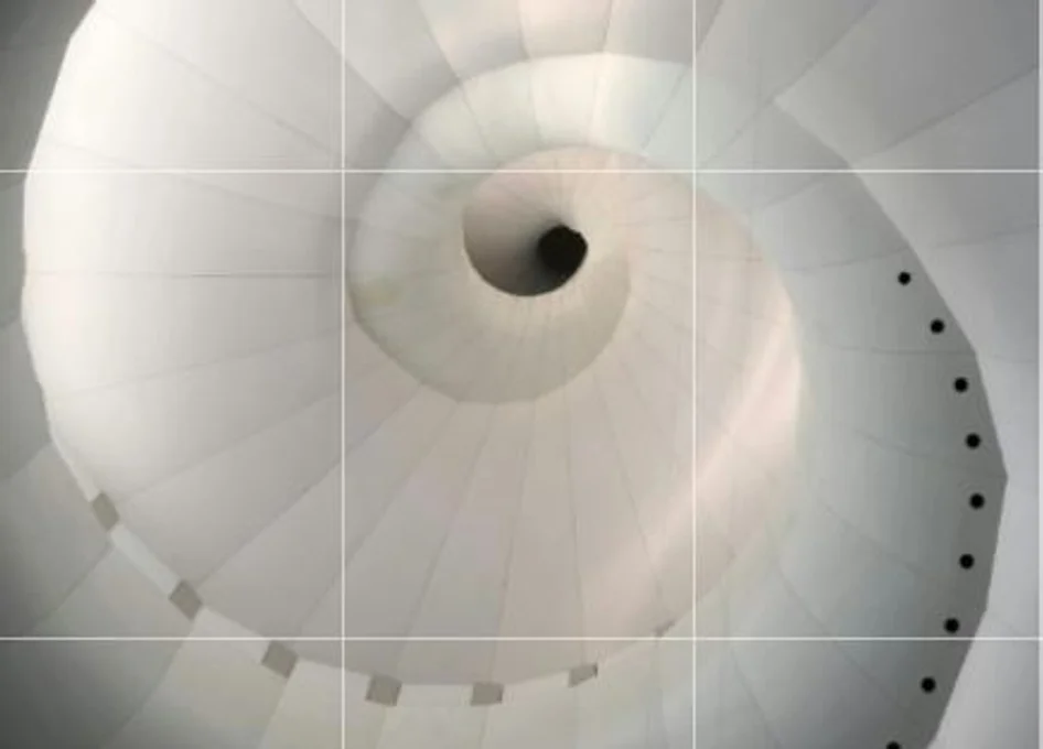 Part of a snail shell representing a Fibonacci sequence