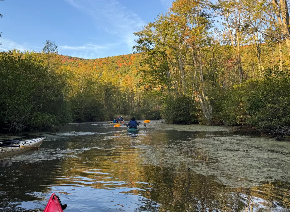 Students in kayaks on water against trees