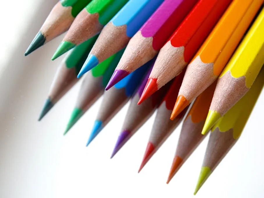 Two rows of colored pencils lined up with a plain white background