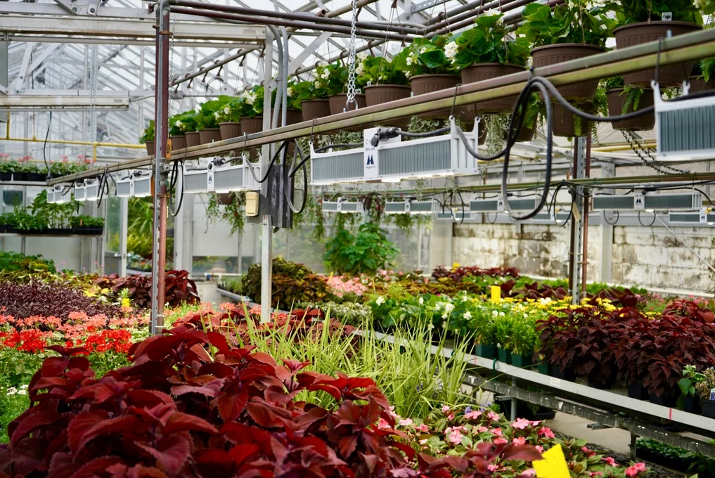 Landscape photo of the FLCC main campus greenhouse.