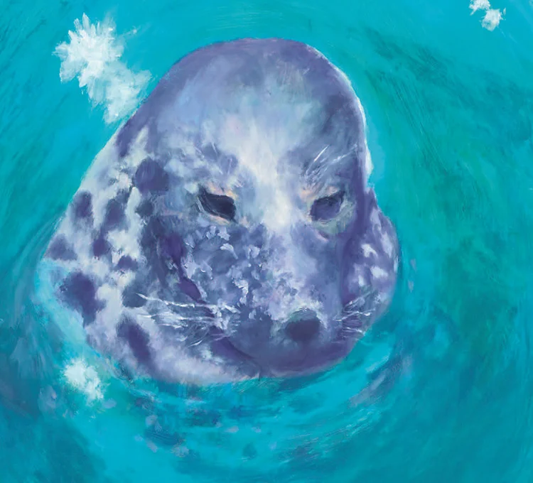 Drawing of seal poking head out of water