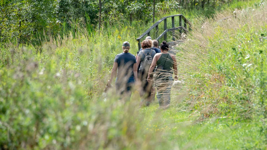 A group of environmental science students walk on a nature trail.