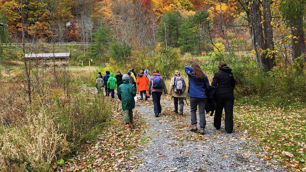 A group of students, teachers, and Muller Field Station staff hiking on a nature trail.