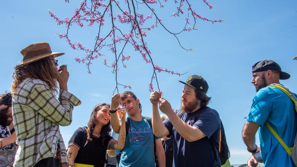Conservation and Environmental Science students studying flowering tree buds in the FLCC arboretum.