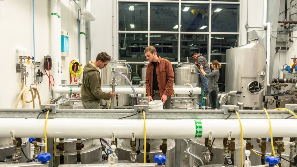 Viticulture students at the FLCC Viticulture and Wine Center