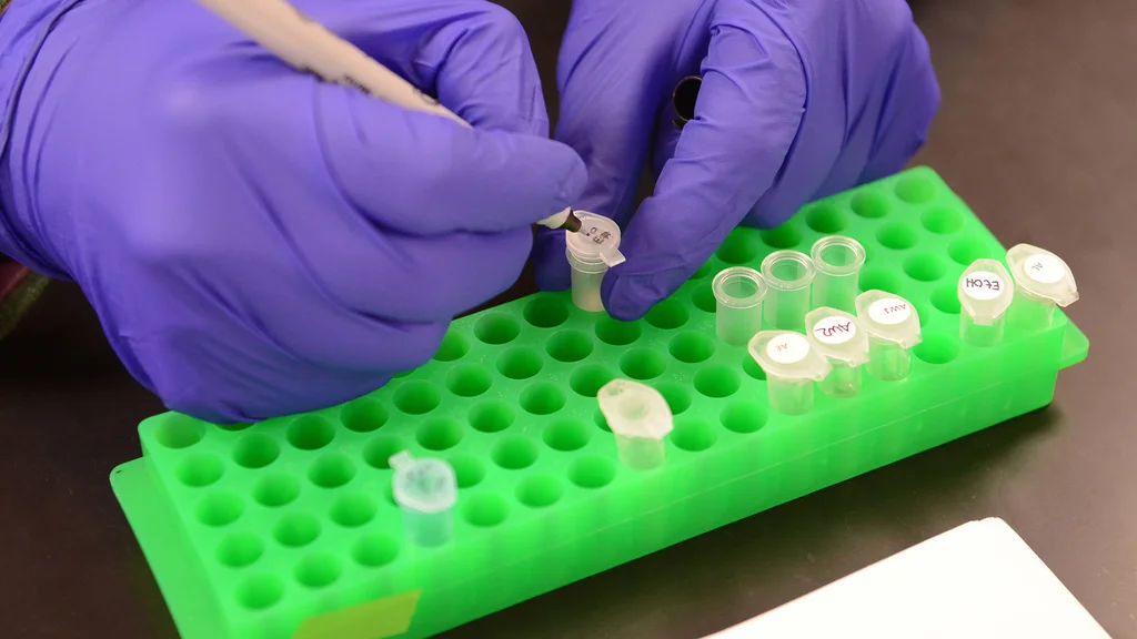 Student labeling biotechnology samples as part of an undergraduate research project.