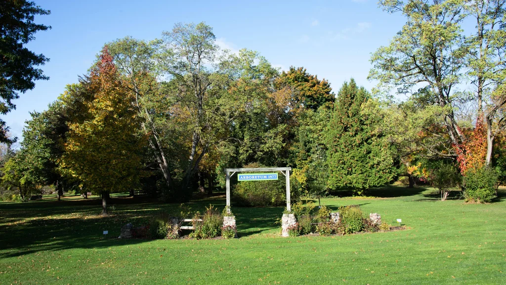 canandaigua arboretum summer 2023