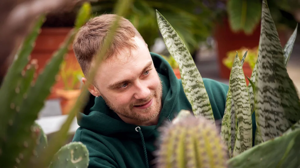 A young man carefully examines a white and green leafed plant in the Finger Lakes Community College greenhouse.