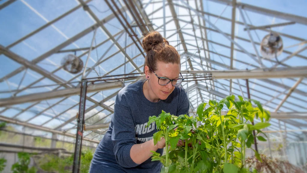 Student studies a plant in the FLCC Greenhouse at the main campus in Canandaigua.