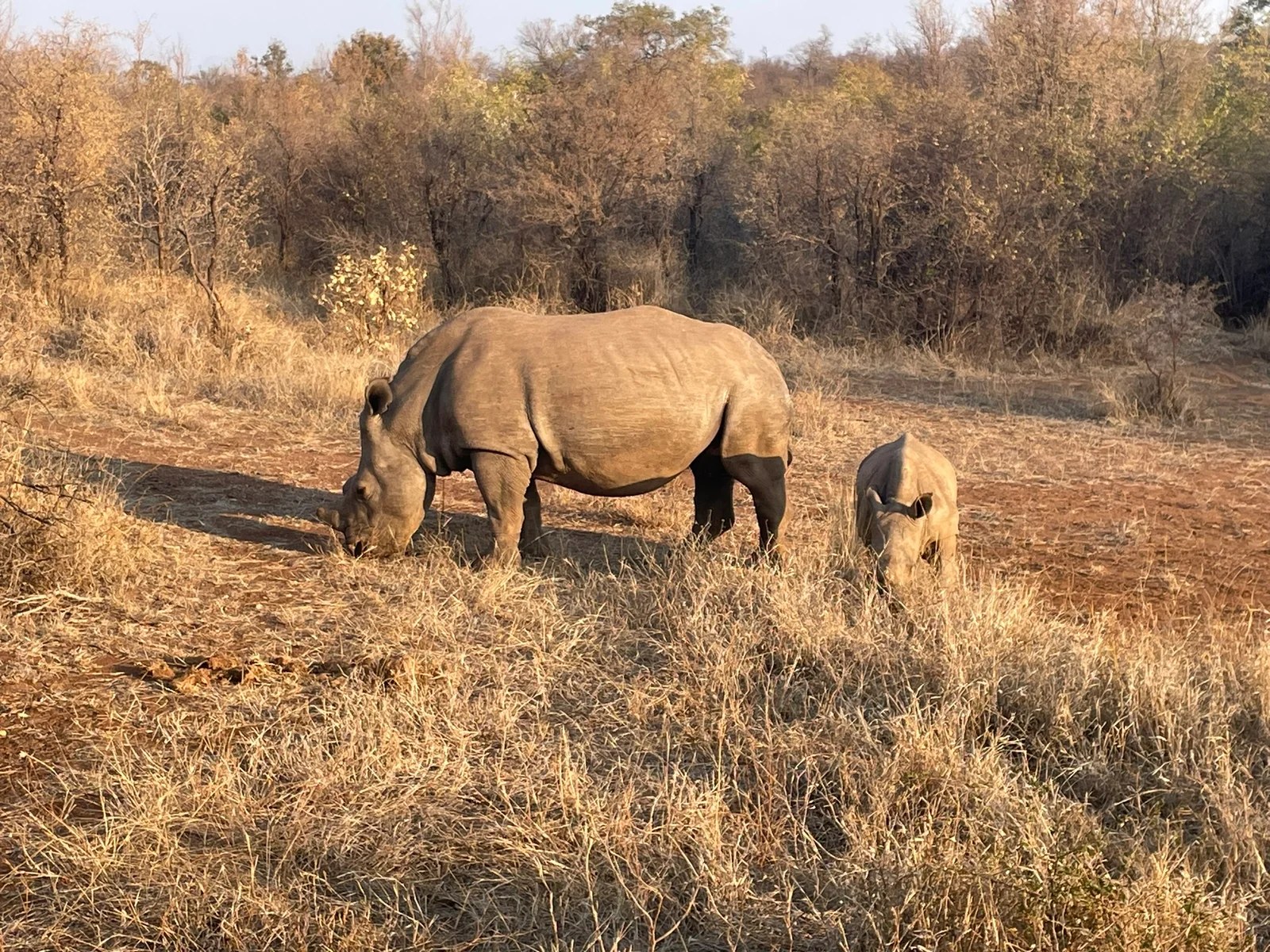 Faculty and students pose for a photo in front of a street sign.