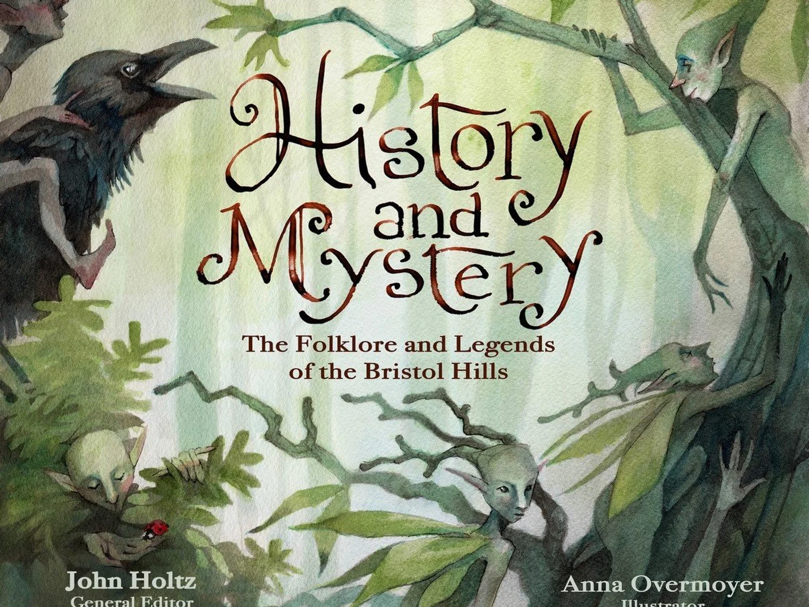 Book cover with a crow and elves in woods