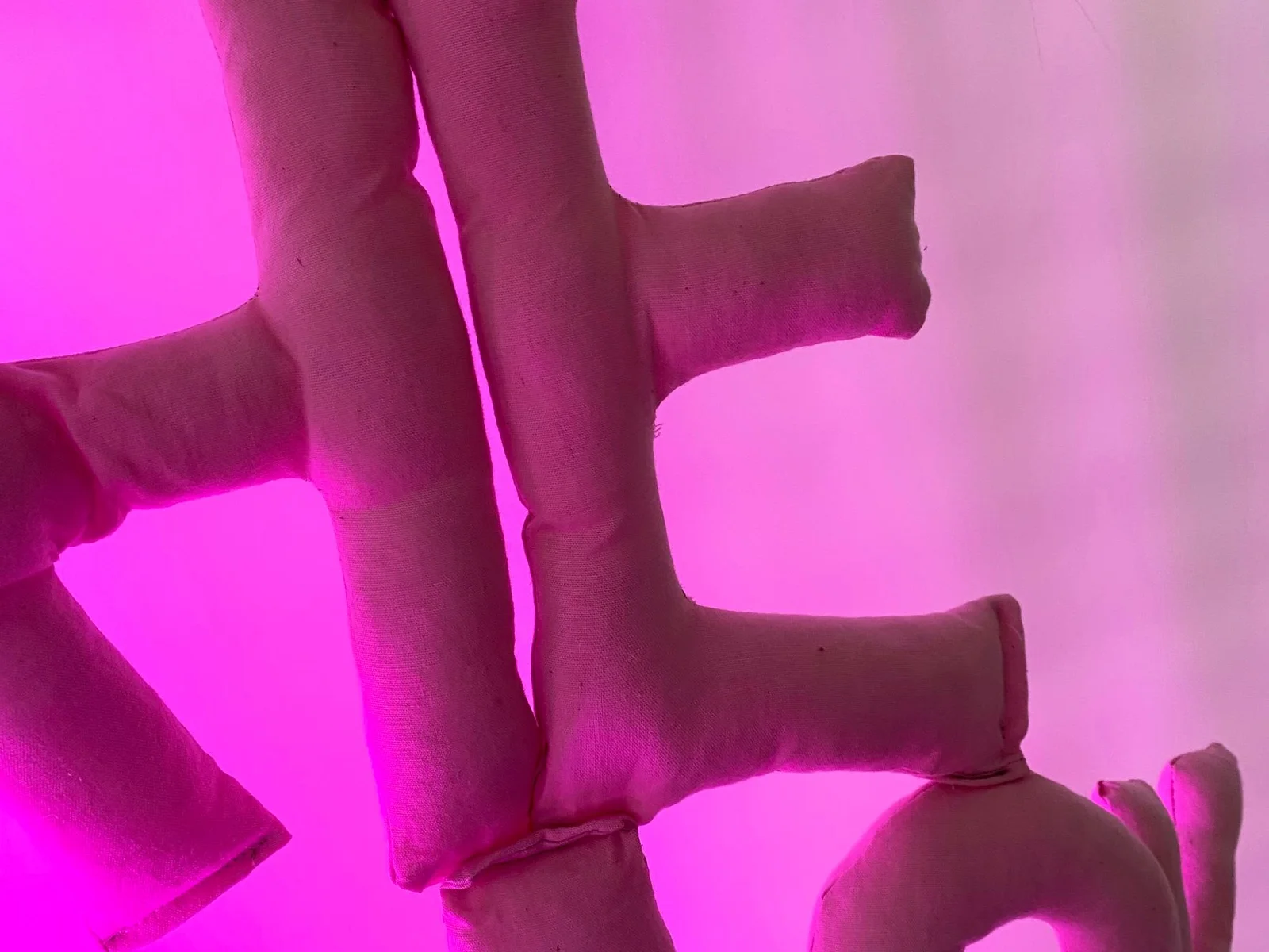 Letters made with pink fabric on light pink background