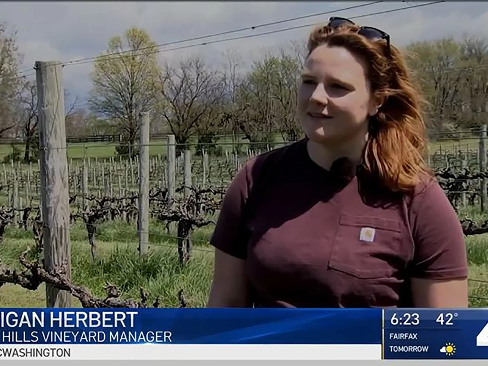 Corrigan Herbert in vineyard
