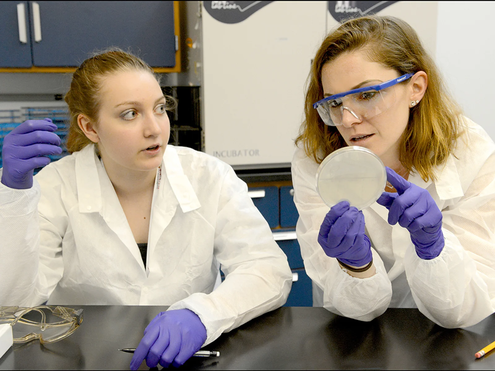 Jessica Halliley, right, holding a petri dish and talking to a student in a lab