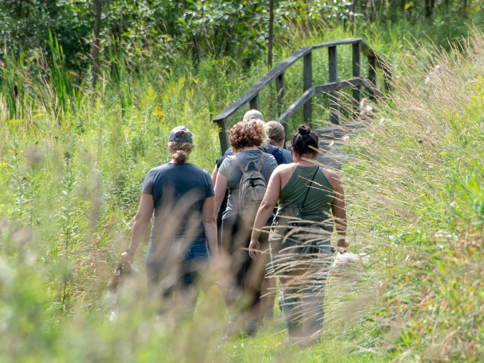 Three students walking towards a bridge surrounded by greenery.