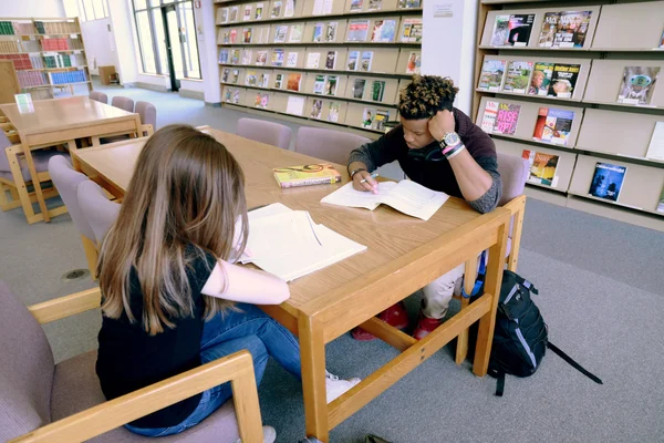 An undecided student studying in the library.