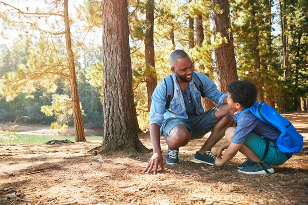 A father and son enjoy a peaceful moment together during a nature walk.