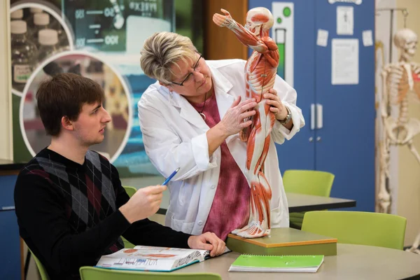A student and tutor studying human anatomy at the FLCC Science Incubator.
