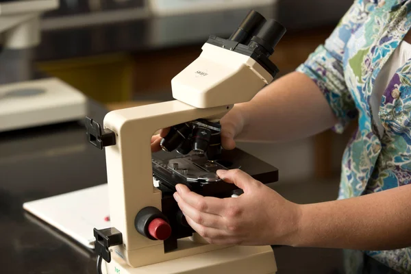 A microscope research station for student use.