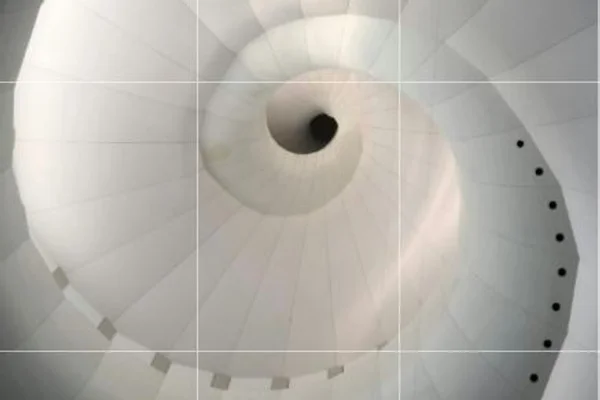 Part of a snail shell representing a Fibonacci sequence