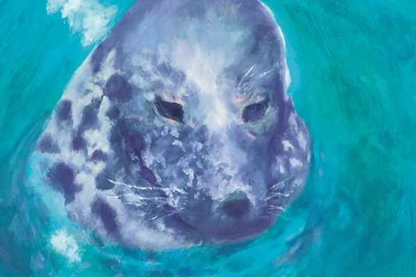Drawing of seal poking head out of water