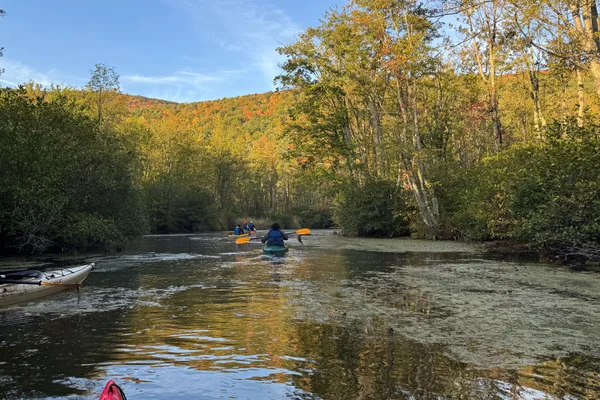Students in kayaks on water against trees