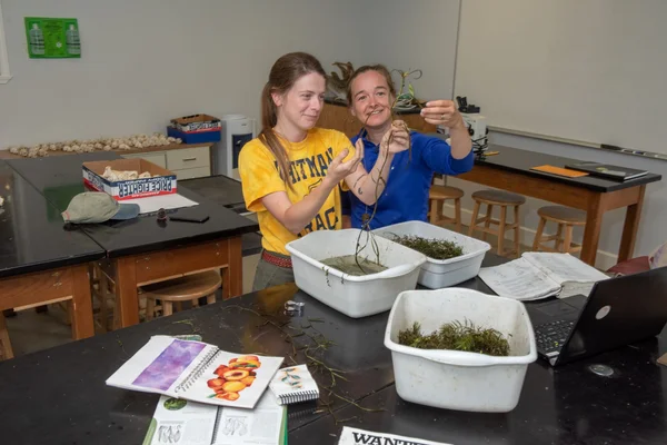 Two women examining tubs of aquatic plants