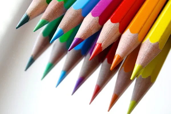 Two rows of colored pencils lined up with a plain white background