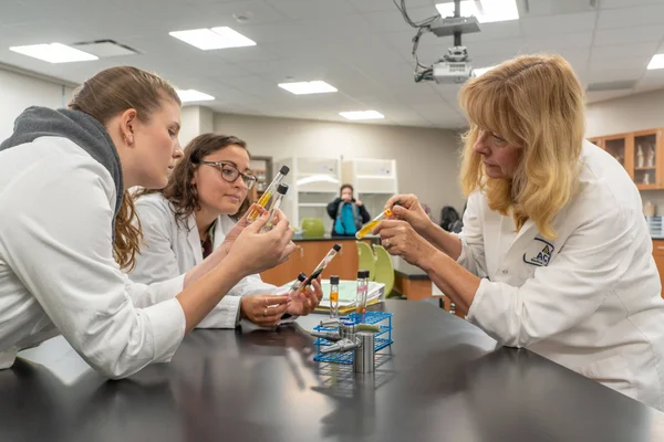 Two Liberal Arts and Sciences students and an instructor study chemical compounds together during a lab session.