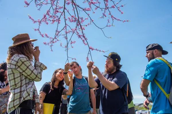 Conservation and Environmental Science students studying flowering tree buds in the FLCC arboretum.