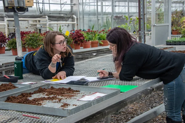 Two Horticulture students review course materials together while leaning on a grated metal shelf in the FLCC greenhouse.