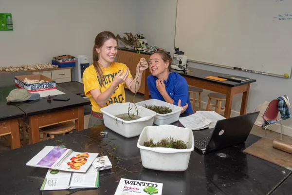Two FLCC students examine native plant life together at Muller Field Station.