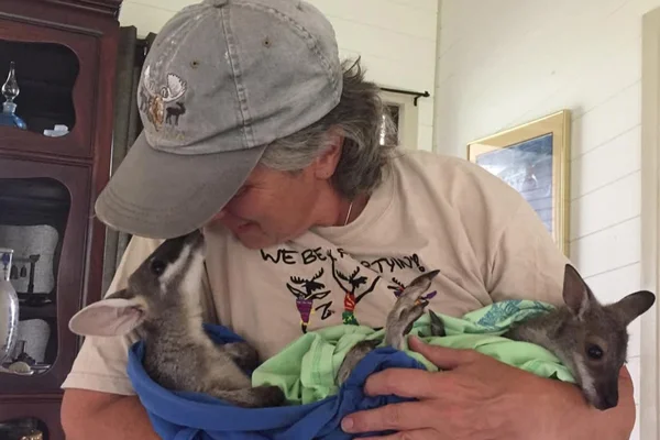 Woman looks down at baby animals she is holding in a blanket