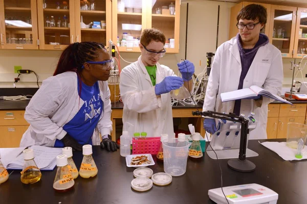 Three students in a lab reviewing the contents of beakers