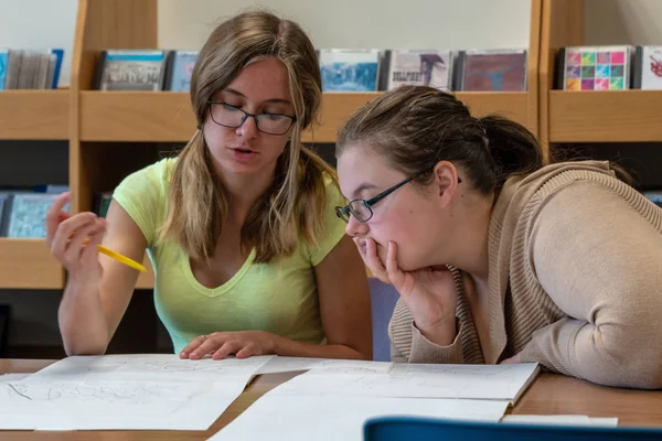 Two FLCC students work together in the Quiet Section of the Library at the Canandaigua location.