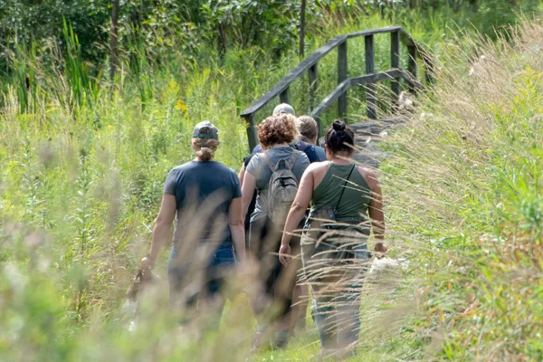 Three students walking towards a bridge surrounded by greenery.