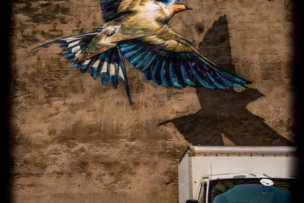 Image of bird in flight over a parked truck