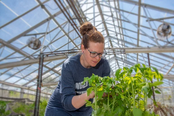Student studies a plant in the FLCC Greenhouse at the main campus in Canandaigua.