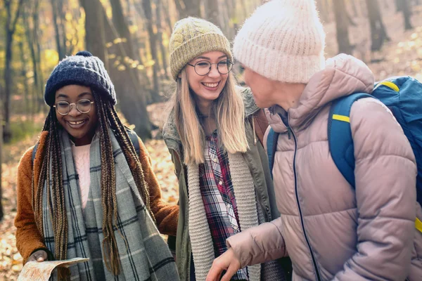 Three students walking on a wooded nature trail.