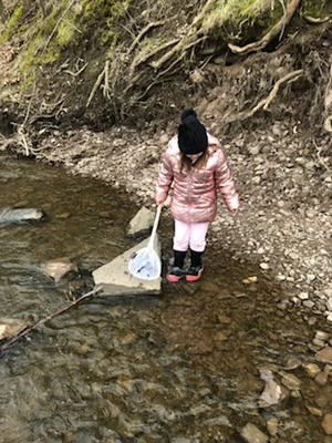 Elementary student holding a net searching for aquatic creatures in a creek