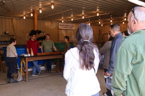 Guests listening to students explain Walleye anatomy.