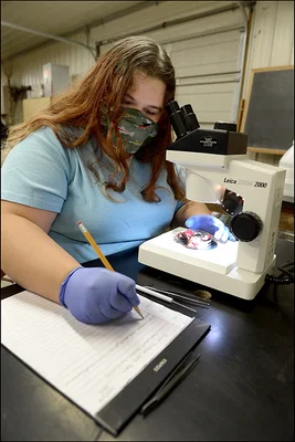 Female student using microscope