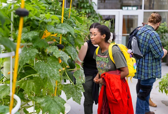 Young woman looking closely at large plant in greenhouse