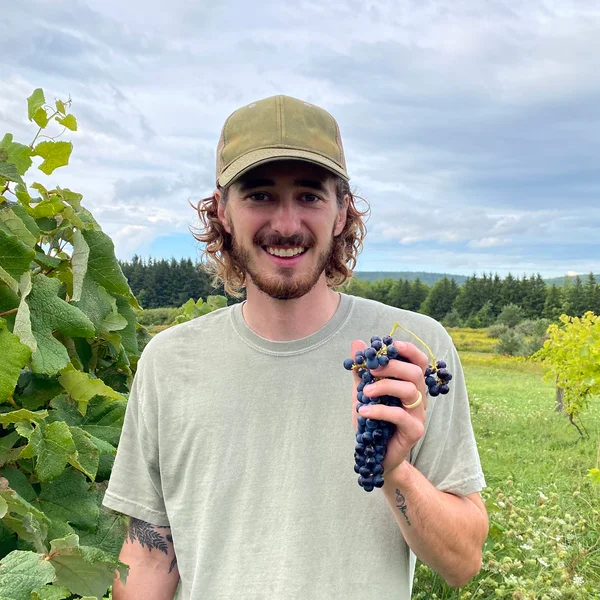 Viticulture student in the vineyard holds grapes.